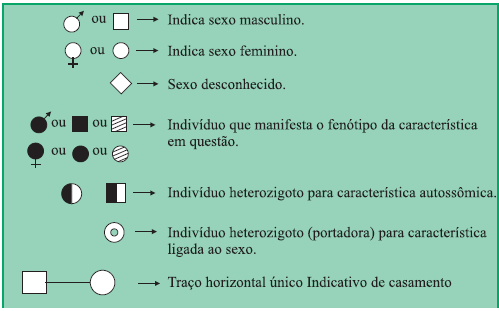 2015 - APOSTILA TURMA DE MEDICINA MÓD II Prof. James Scandian CAPÍTULO 11 - HEREDOGRAMAS 1.