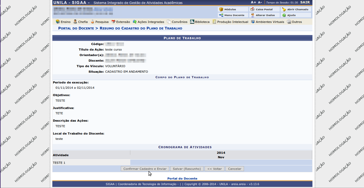 6. Visualize o Plano de Trabalho e