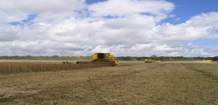 Custos de oportunidade = Agricultura