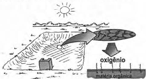 26 Figura 7. Processo de secagem do viveiro para oxidação do solo e oxidação do excesso de matéria Fonte: OSTRENSKY, 1998, p.21.