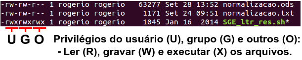 net/ Usando o PRINSEQ no computador via terminal Depois de descompactado, é necessário ir até o diretório onde este foi colocado e mudar a permissão de uso do programa para torná-lo executável (via