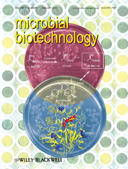 DISCIPLINAS DE CONTEÚDO ESPECÍFICO Análise Quantitativa em Biotecnologia Bioinformática Bioprocessos e Biorreatores Biossegurança e Bioética Biotecnologia Animal