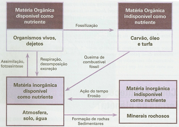 diferentes vias, sendo que a quantidade de um determinado material que passa por estas vias em um determinado período de tempo pode ser estimada, por exemplo, em toneladas por ano.