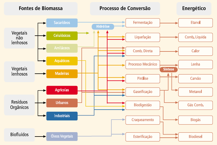 20 Figura 2 Processo de Conversão conforme Fonte de Biomassa Fonte MME (2004) 2.