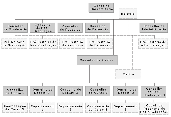 44 Estrutura Organizacional da UFSCar (FORTUNATO JR, 2010, p.53) Figura 1. Estrutura Organizacional da UFSCAR dos órgãos colegiados da UFSCar e de primeiro escalão.