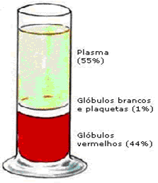 38 dos outros componentes do sangue, para análise posterior. (Alves, 2010; Keusseyan, 2011).