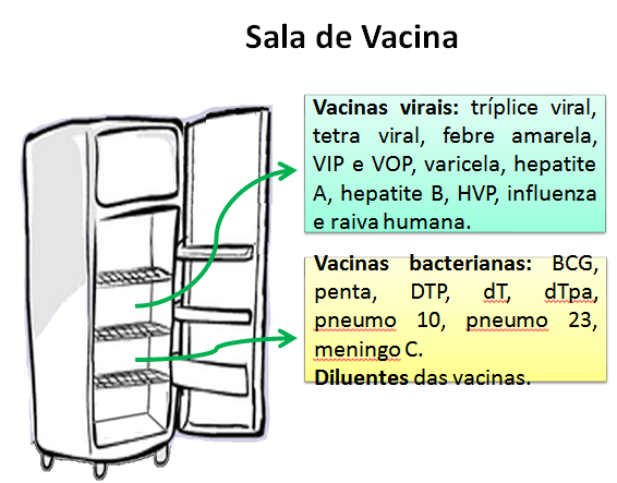 De acordo com o novo Manual de Normas e Procedimentos para Vacinação (2014), nos refrigeradores de uso doméstico, os imunobiológicos devem ser acondicionados em bandejas e estas devem ser colocadas