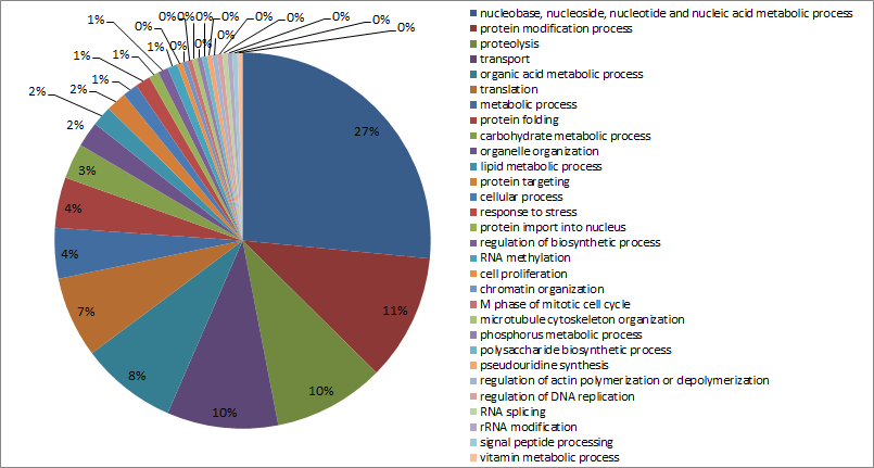 Figura 4.10: Quantidade de proteínas ortólogas para protozoários-s. cerevisiae.