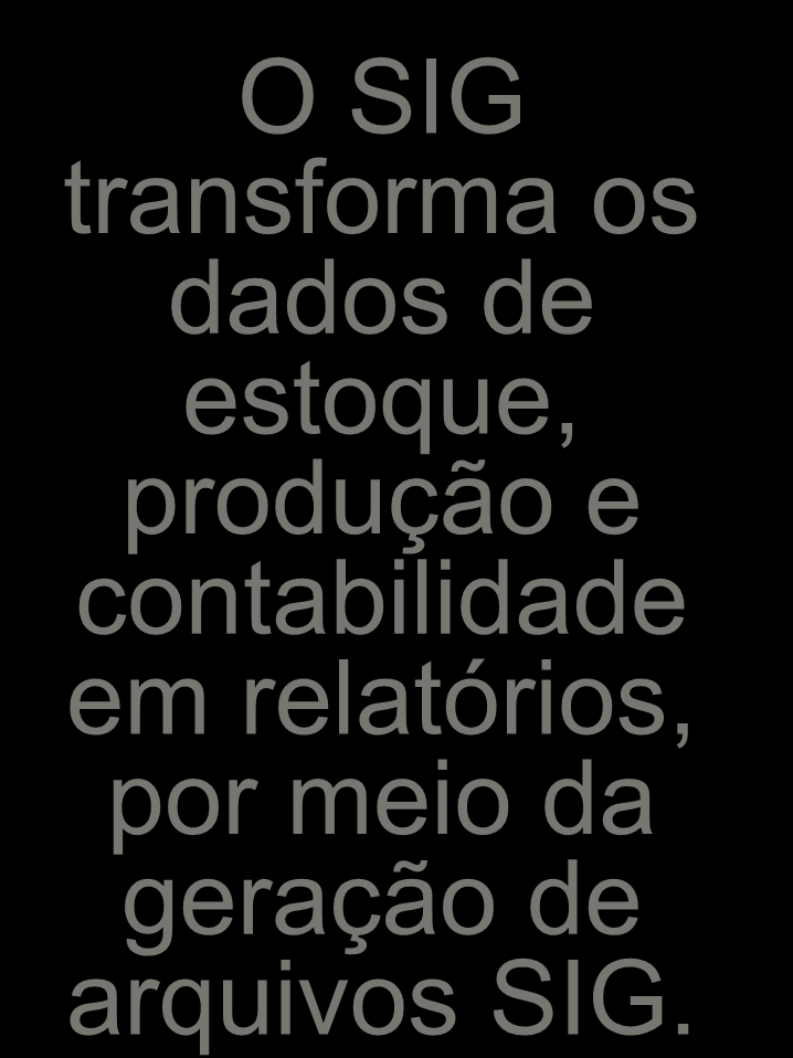 O SIG transforma os dados de estoque, produção e