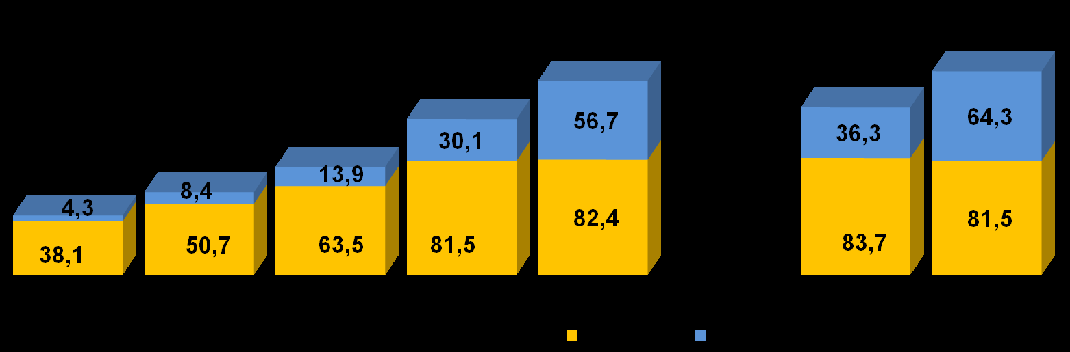 Saldo Total das Carteiras Financiamento (CDC) + Leasing Aquisição de bens Veículos (Pessoa Física) Reais/bilhões 139,1 111,6 42,4 59,1 77,4 O total das carteiras dessas duas modalidades em março/2009