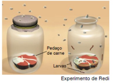 10- Uma substância irá se difundir para o meio externo quando: A. sua concentração externa estiver maior. B. sua concentração externa estiver igual à interna. C.