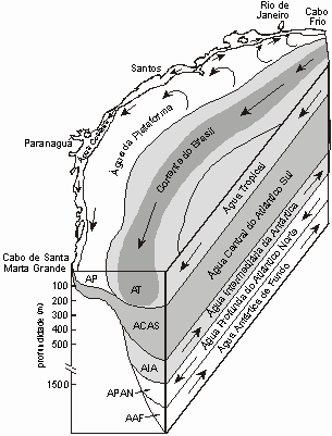 Água da Plataforma Continental (APL): localiza-se acima da plataforma e também assume características continentais. Água Tropical (AT): caracterizada por uma salinidade maior que 35.