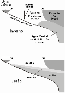 A Água Central do Atlântico Sul (ACAS), flui em sentido norte sob a Corrente do Brasil e, no verão, também sob a APL.