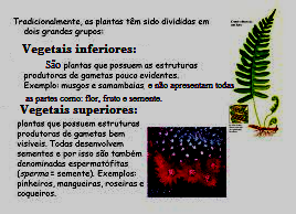 1) Leia o texto para entender a diferença entre os vegetais superiores e inferiores.