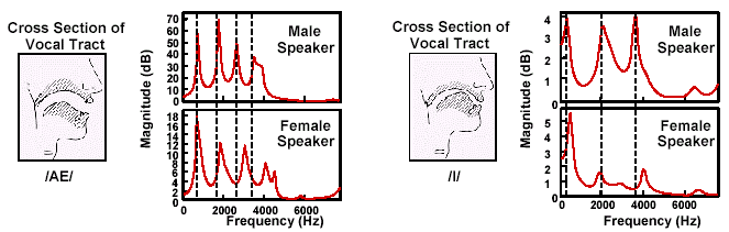 Características para RAL Diferentes locutores terão espectros diferentes para sons similares As diferenças estão na localização