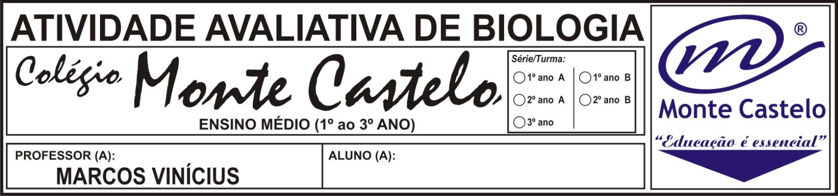 0 pontos fazendo parte da avaliação do 3º bimestre. 4. DATA PARA ENTREGA: 12/09/2011 (2º ANO A) e 13/09/2011 (2º ANO B) Equipe: 01. 02. 03. 04.