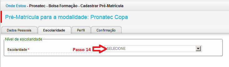 10. Preenche os dados básicos. Após o preenchimento do CPF o sistema recupera as informações do usuário; 11.