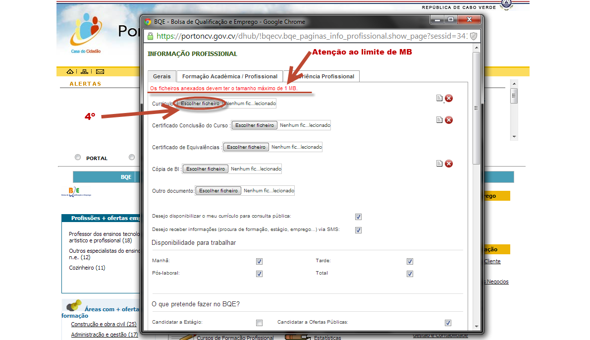 4º - Preencha correctamente a Ficha de Informação Profissional,