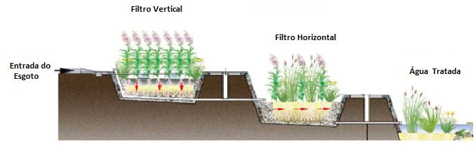 Tecnologia de Ponta TRATAMENTO DE ESGOTOS POR JARDINS FILTRANTES Utilização de plantas para tratamento do