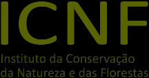 Departamento Administrativo e Financeiro (DAF) João Guedes Divisão de Recursos Humanos (DRH) Cidália Pereira Divisão de Contabilidade e Orçamento (DCO) Sandra Henriques Divisão de Contratação e