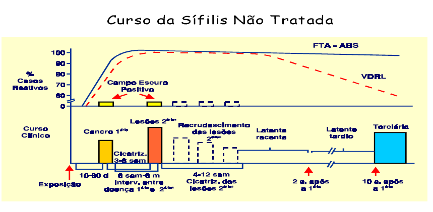 Historia Natural da Sífilis Teste Rápido