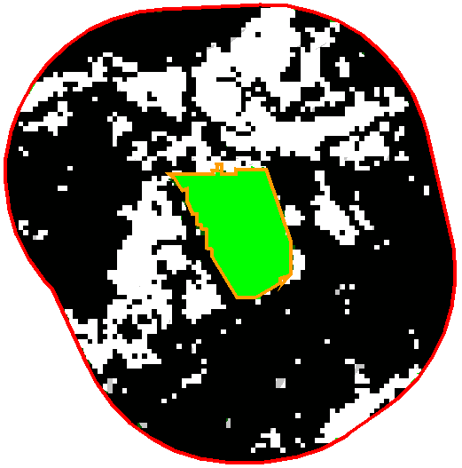 a b c d e f g h Figura 2 Área impermeável no entorno dos oito fragmentos localizados em Campo Grande, Mato Grosso do Sul, Brasil.