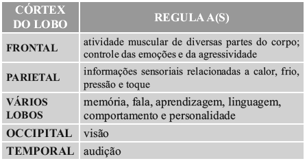 Veja a divisão anatômica do sistema nervoso. SISTEMA NERVOSO Veja o esquema: O sistema nervoso é dividido em central (SNC) e periférico (SNP).