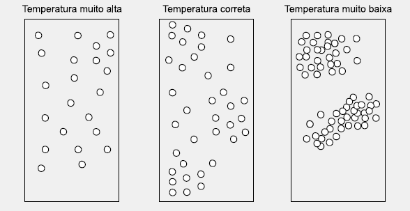 1 Figura 2 Distribuição dos pintos em baixo dos aquecedores.