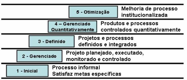 16 2.1.2 Metas e Práticas Dentro de cada área existem metas específicas que são únicas para cada área.