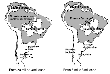 Exercícios com Gabarito de Biologia Ecologia - Estudo da Biosfera 1) (ENEM-2006) Entre 8 mil e 3 mil anos atrás, ocorreu o desaparecimento de grandes mamíferos que viviam na América do Sul.