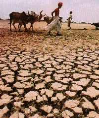 Estima-se que, em todo o mundo, nas áreas susceptíveis à desertificação e à seca, vivem hoje cerca de 900 milhões de pessoas e, dessas, cerca de 200 milhões já estão afetadas por este processo,