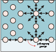 14 vários biossurfactantes, principalmente da classe dos lipopeptídios e glicopeptídios. Os ramnolipídios de P. aeruginosa e a surfactina de B.