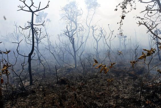 A resolução normativa CONAMA 001/86 considera impacto ambiental qualquer alteração das propriedades físicas, químicas e biológicas do meio ambiente, causada por qualquer forma de matéria ou energia