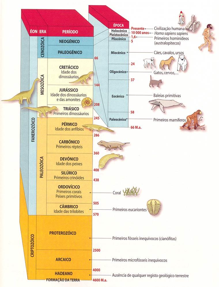 Infográfico das Eras Geológicas no nosso planeta.