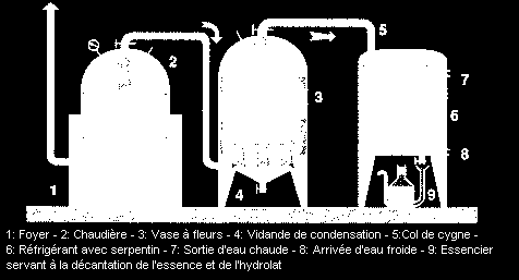 Obtenção de Óleos Essenciais (Esquema)