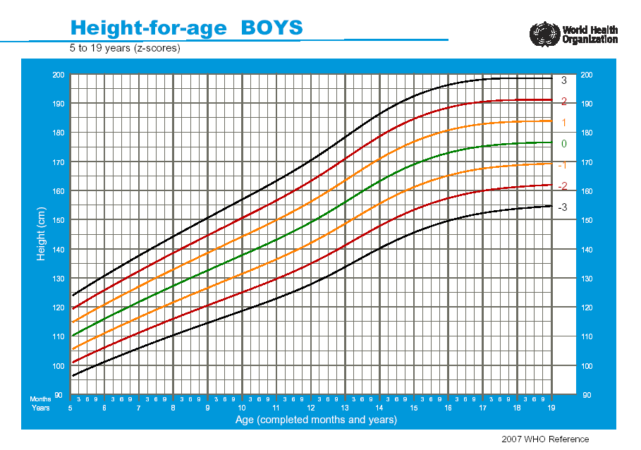 Gráfico de IMC x Idade para meninos de 5 a 19 anos: 2007 WHO
