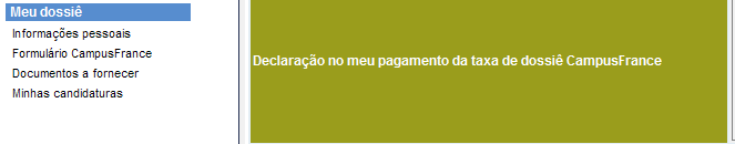 IMPORTANTE! APÓS O PAGAMENTO: favor enviar o comprovante de pagamento para o e-mail brasil@campusfrance.