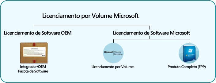 Programas de Licenciamento da Microsoft A partir de uma perspectiva de licenciamento de software, há geralmente dois tipos de relações de licenciamento com um usuário final: Licenciamento de software
