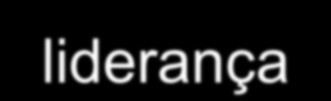Programas para consolidar e expandir a liderança PROGRAMAS PARA