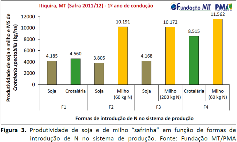 Adubação nitrogenada Safra