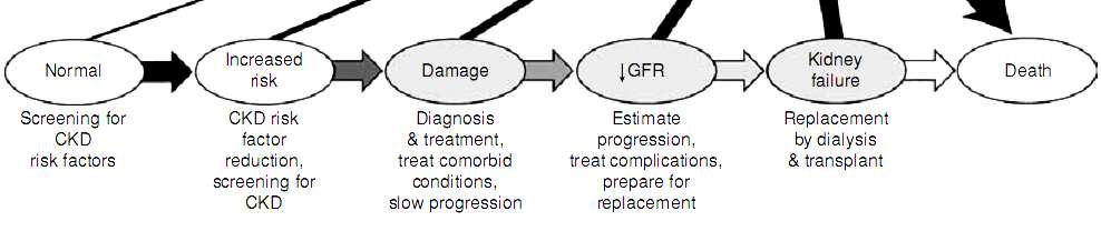 Chronic Kidney Disease