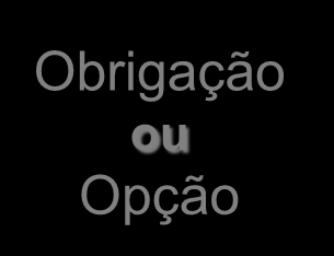 000 Programas Informáticos Obrigação ou Opção