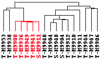 O Futuro 1. Estudar o perfil de expressão gênica dos tumores humanos 2.