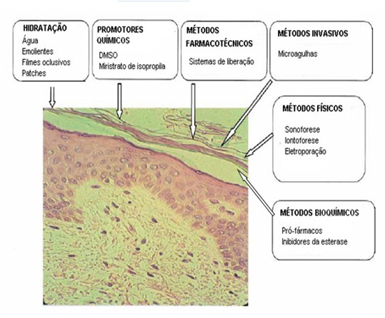 Fácil acesso e aplicação; Boa aceitação por parte do paciente; Maior resistência da pele a danos; Grande área de superfície