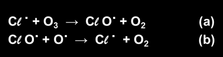 Os CFC s e a destruição do ozono Os CFC s e a destruição do ozono Os CFC s são decompostos pelas radiações UV libertando os radicais cloro.