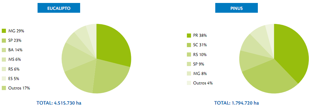 Revisão bibliográfica 11 Segundo a Associação Brasileira de Produtores de Florestas Plantadas - ABRAF, no ano de 2009, o Brasil atingiu 6.310.450 ha de florestas plantadas, sendo 4.515.