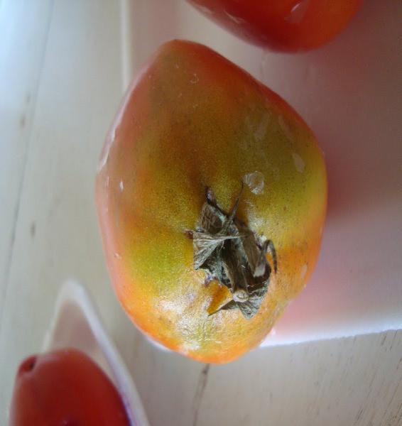 38 A B Figura 5 - Tomate sem revestimento (A) e com 4% de fécula de batata (B) aos 12 dias