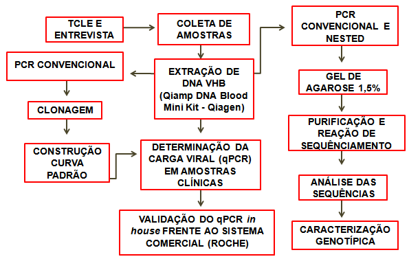 25 4.7 Classificação sorológica dos participantes Os pacientes incluídos no estudo foram previamente testados para os seguintes marcadores sorológicos: hepatites B (HBsAg, anti-hbc total, anti-hbc