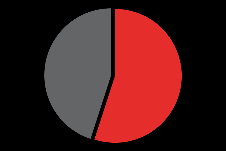 MAXAM Acionistas Shareholders MAXAM Advent International 45 % MAXAM