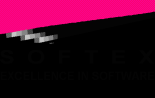 SOFTEX: Associação para Promoção da Excelência do Software Brasileiro <www.softex.